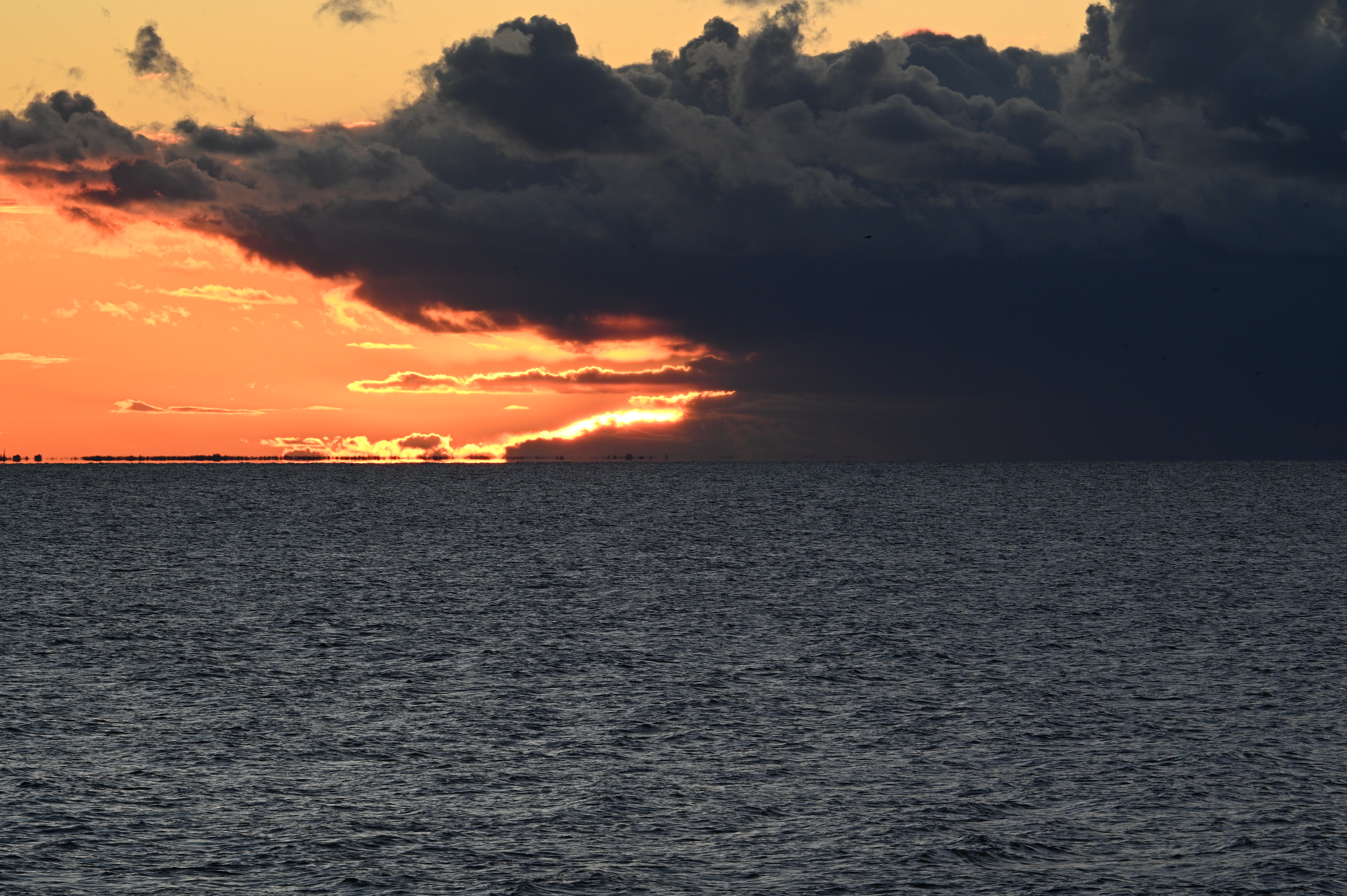 2025/10/18 - walk/DSC_0505.JPG